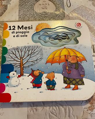 12 Mesi di pioggia e di sole