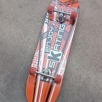 Skate skateboard 