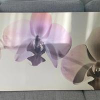 Tela orchidea Ikea 140x56