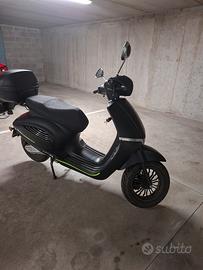 scoter