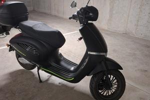 scoter