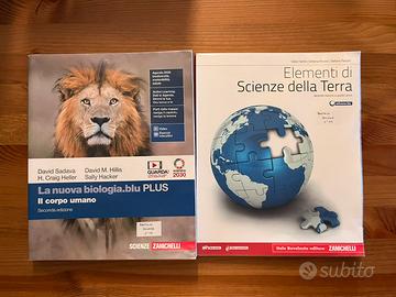 Scuola superiore