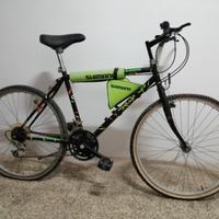 Bicicletta Mountain Bike