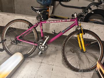 Mountain bike Kastle