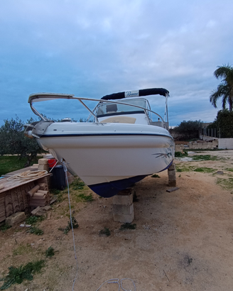 Ranieri Shadow 20
