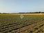 Immagine 17