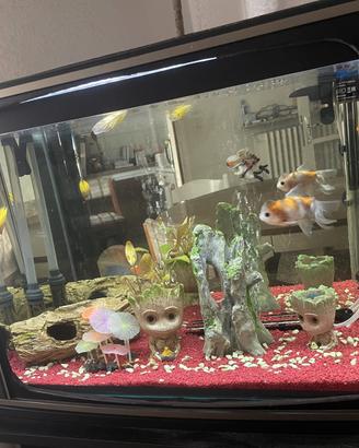 acquario a televisione 