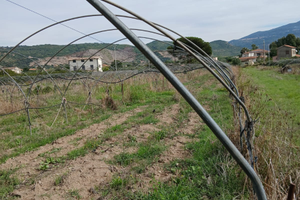 Tunnel e piantoni zincati