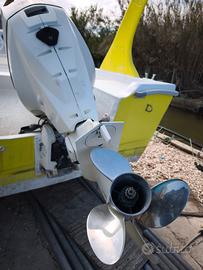 Evinrude E-tec 