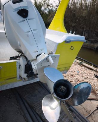 Evinrude E-tec 