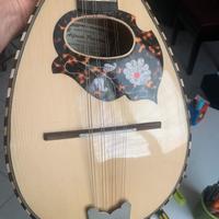 Mandolino usato alfredo privitera