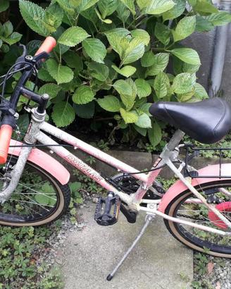 Bicicletta