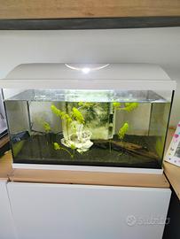 acquario bianco 