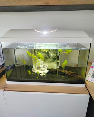 acquario bianco 