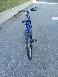 Bici uomo ruote da 28