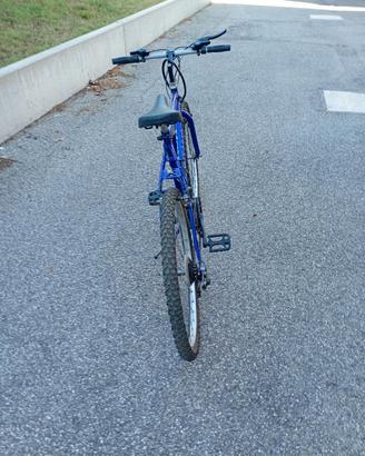 Bici uomo ruote da 28