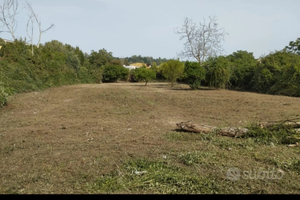 Adatto parco giochi e sport area centralissima