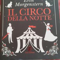 Il circo della notte 