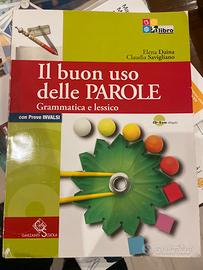 Il buon uso delle parole, grammatica e kessico