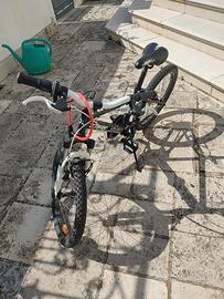 bicicletta per bambino ruota 20