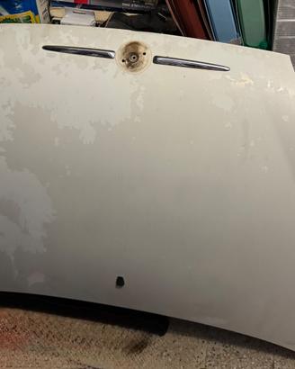 Cofano Fiat 600 del 2007