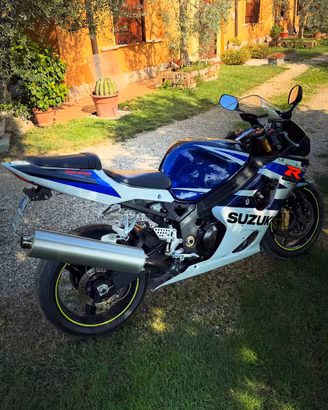 Suzuki GSX-R 1000 K4 (2004) - 30.000 km