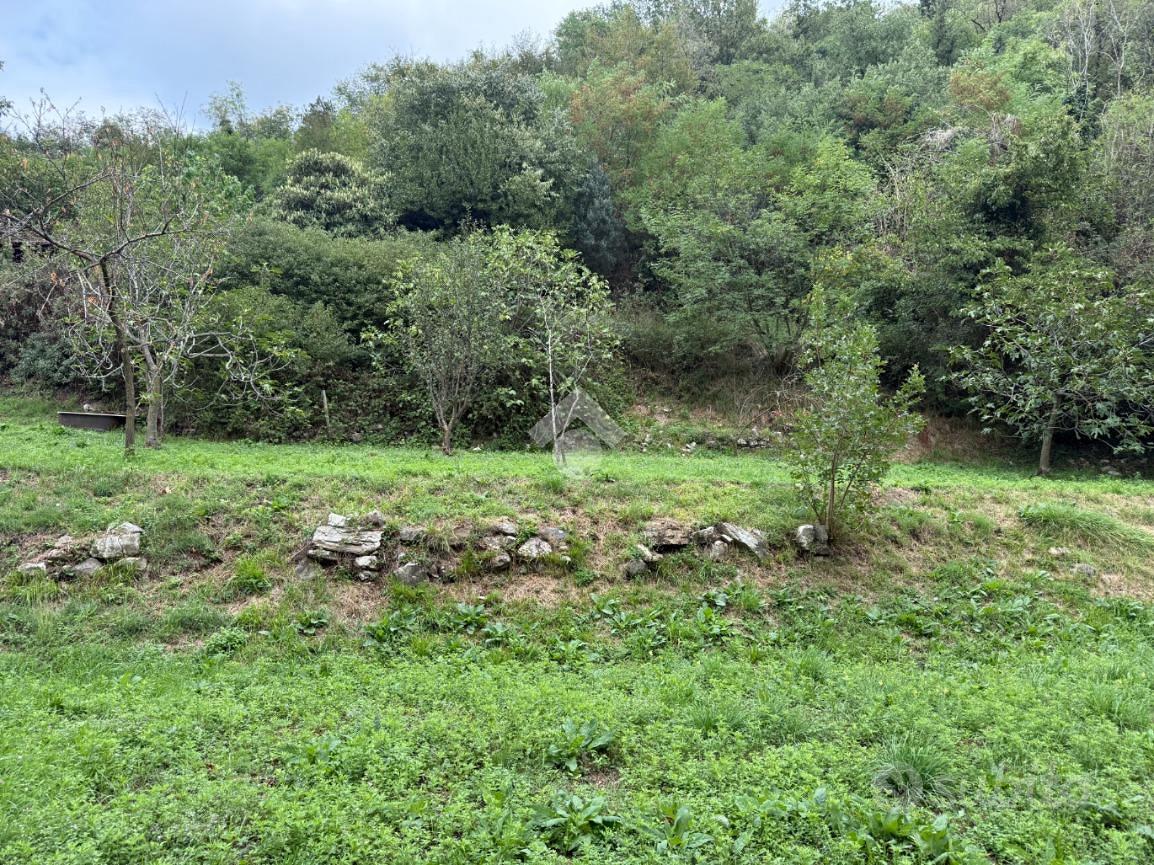 TER. AGRICOLO A PROVAGLIO D'ISEO - Vista 2