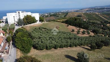 TER. AGRICOLO A TORTORETO