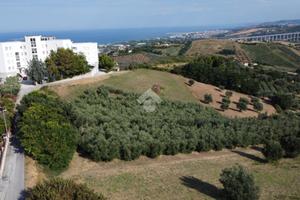 TER. AGRICOLO A TORTORETO