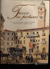 Treviso illustrata. La città e il territorio