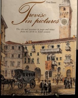 Treviso illustrata. La città e il territorio