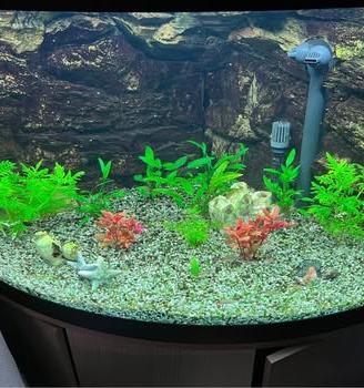 Acquaio Askoll tenerif visus 300 litri