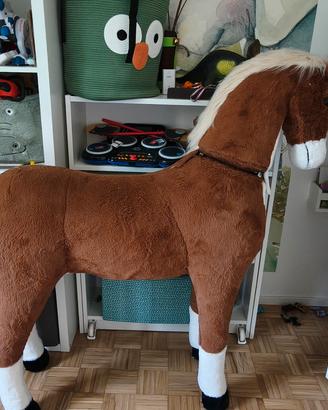 cavallo 