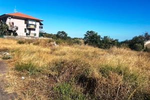 Terreno agricolo pianeggiante non recintato