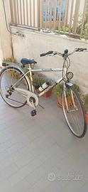 Bici da 28