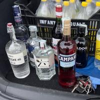 Bottiglie di gin Campari vermouth rosso vodka