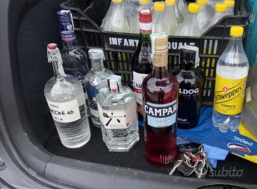 Bottiglie di gin Campari vermouth rosso vodka