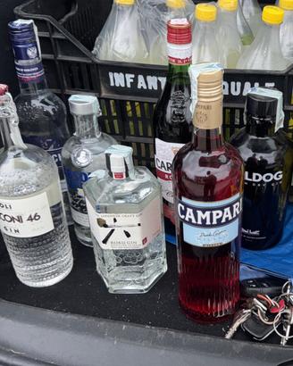 Bottiglie di gin Campari vermouth rosso vodka