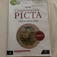Grammatica picta