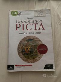 Grammatica picta