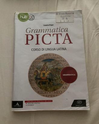 Grammatica picta