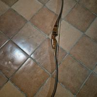 Arco bear archery grizzly