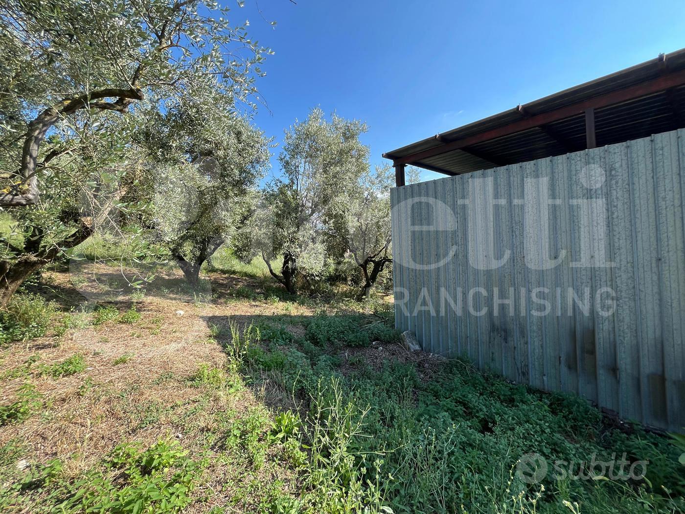 Rustico/Casale/Corte Gioia Sannitica - Vista 3