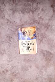 Libro "Viaggio al Centro della terra "🌎 