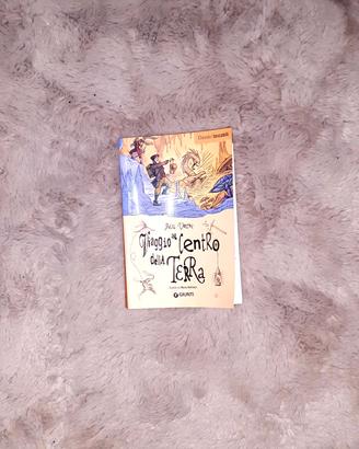 Libro "Viaggio al Centro della terra "🌎 