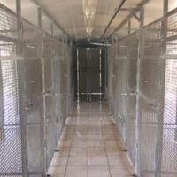 Box per cani