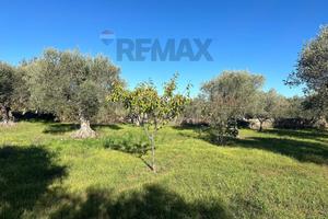 Terreno - Noto