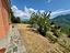 Immagine 17