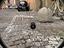 Immagine 5