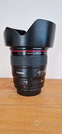 Canon EF 24mm f/1.4 L USM